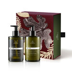 Conjunto Natura Bothânica Ficus Hierba