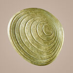 Shampoo de Uso Diario en Barra Biome