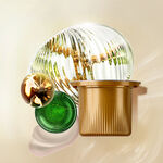 Repuesto Crema antiseñales fortalecimiento y nutrición Chronos 80+ día