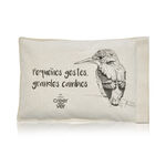 Guatero Semillas 2026 Creer Para Ver