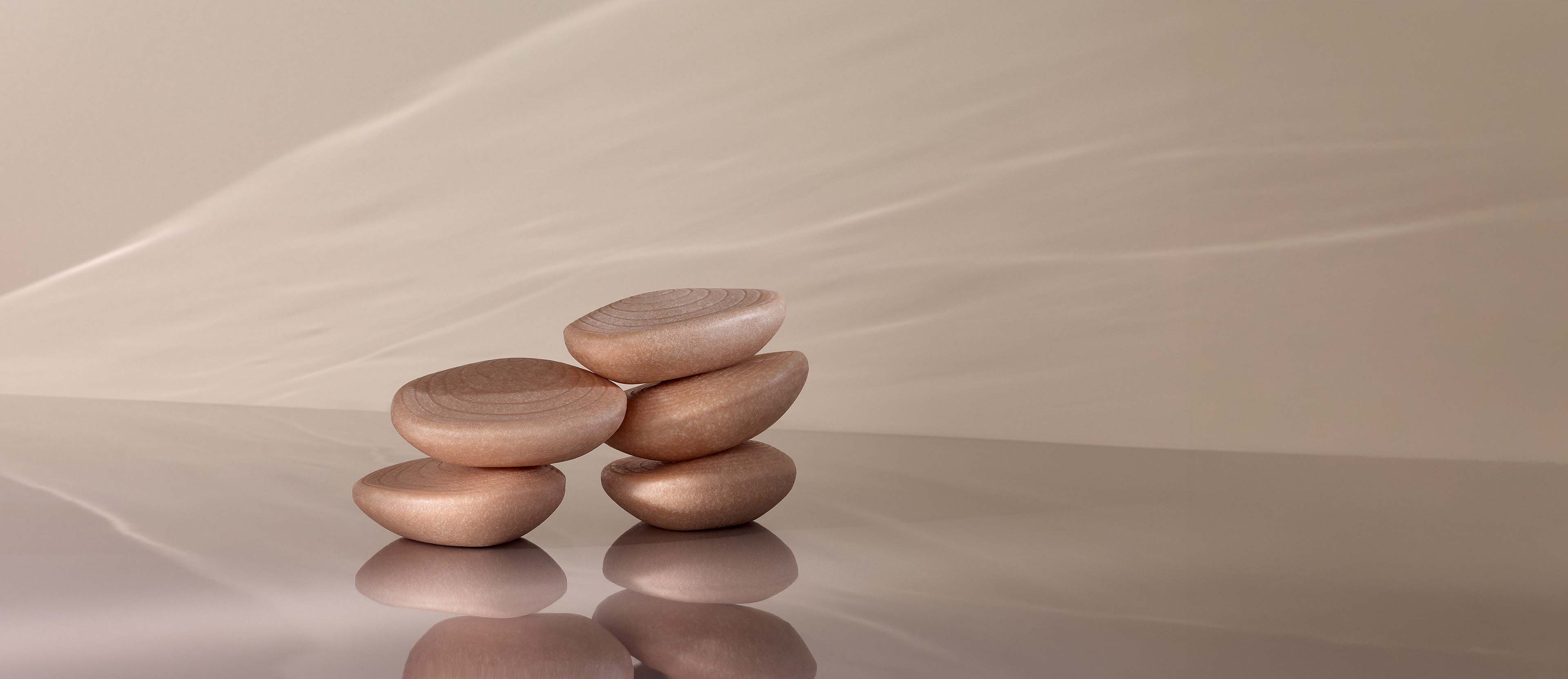 Shampoo Hidratante en Barra Biome