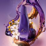 Luna Noche 75 ml