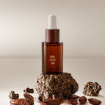 Perfume en Aceite Natura 379 Benjoin Cumaru 15 ml