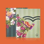 Set Cuadernos Creer para Ver