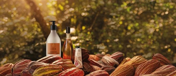Kit Hidratación y Perfumación Ekos Cacao