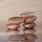 Shampoo Hidratante en Barra Biome