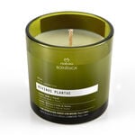 Vela Bothanica Divinus plantae