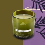 Vela Bothanica Divinus plantae