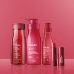 Kit Jabón, Crema, Body Splash y BálsamoTododia Cereza y Avellana