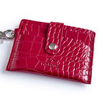 Porta Documentos Creer para Ver