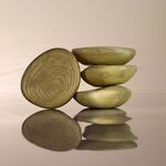 Shampoo de Uso Diario en Barra Biome