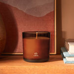 Vela Perfumada Natura 861 Guaiaco Pataqueira