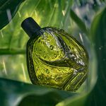 Ekos Ryo Lluvia eau de toilette unisex