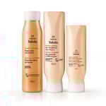 Kit Shampoo, Acondicionador y Crema para Peinar Tododia Nutrición