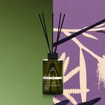 Bothânica Spray Ambientes Divinus Plantae