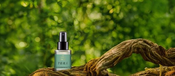 Óleo finalizador Anticaída Patauá Ekos 60ml