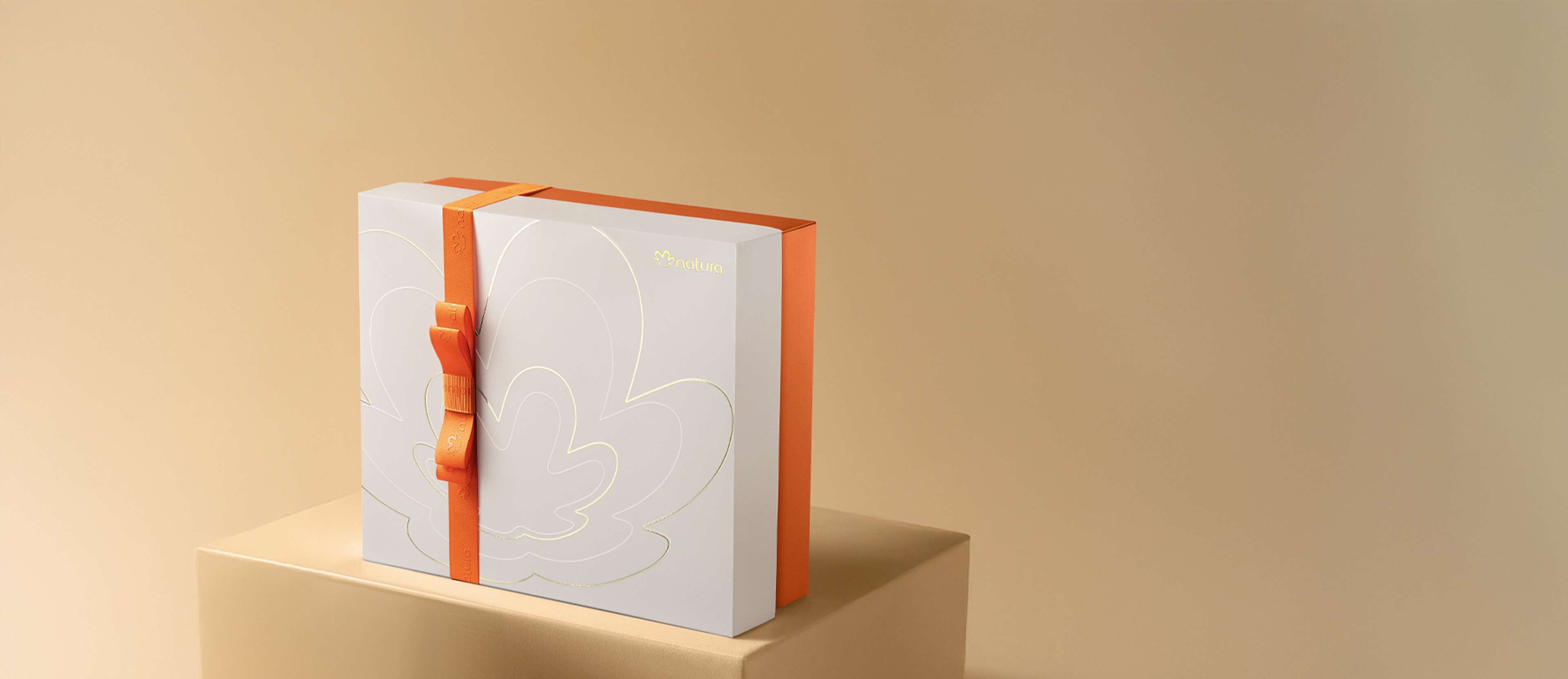 Caja de regalo con lazo