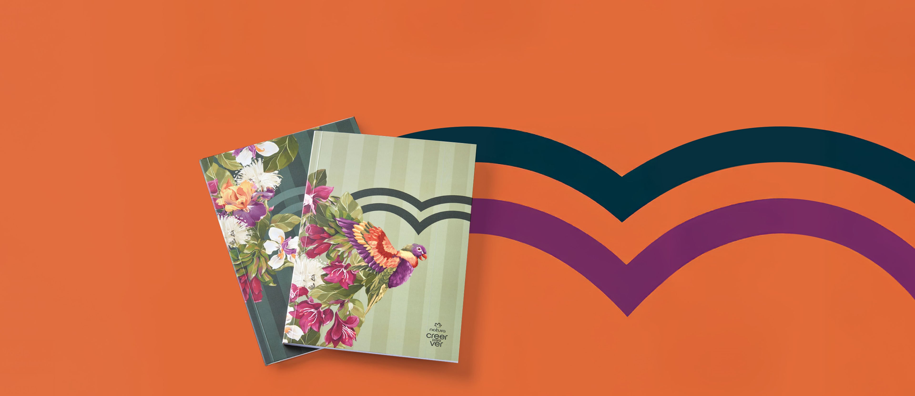 Set Cuadernos Creer para Ver