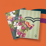 Set Cuadernos Creer para Ver