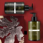 Conjunto Natura Bothânica Ficus Hierba