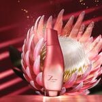 Luna coragem femenino