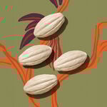 Jabones en barra Ekos cacao