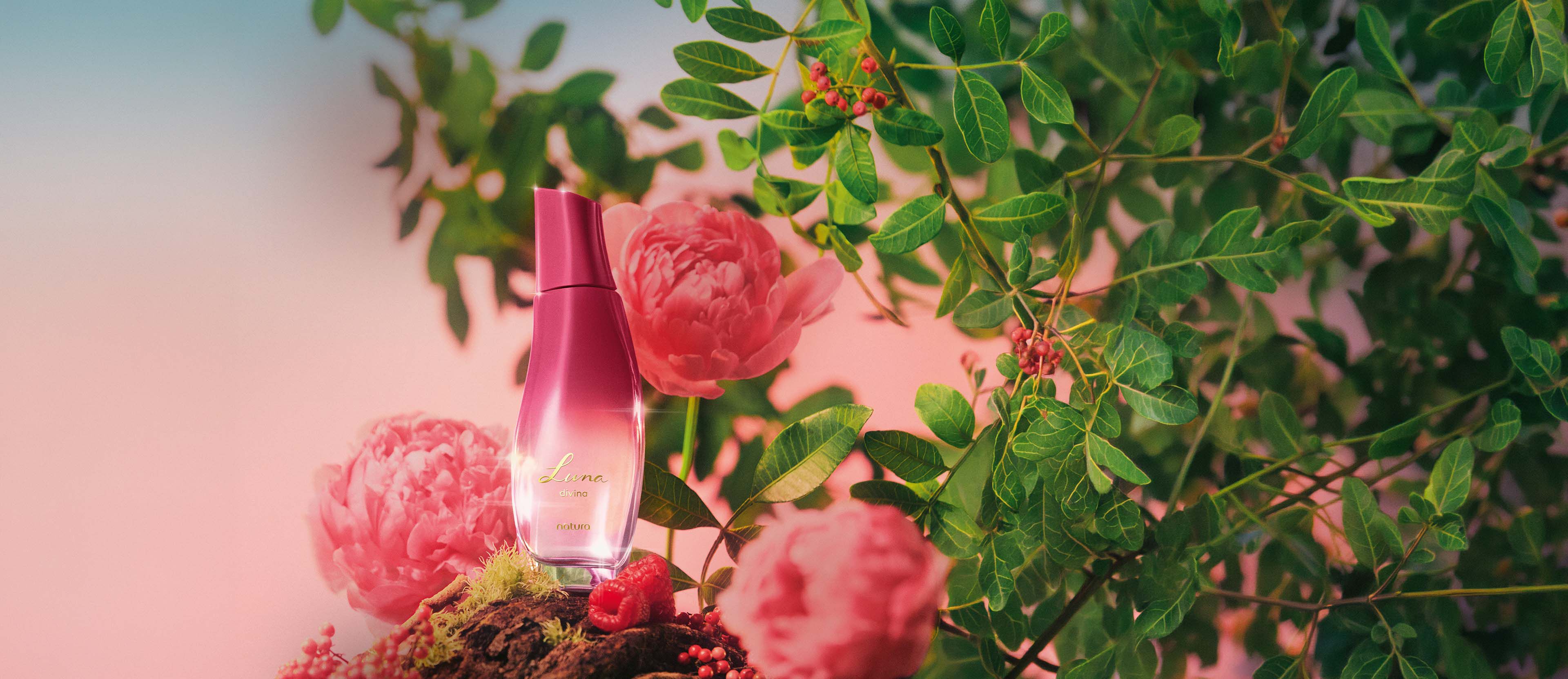 Regalo Madres Luna Divina (1 eau de toilette)