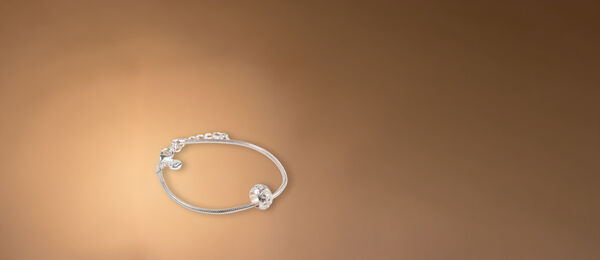 Pulsera de Charms