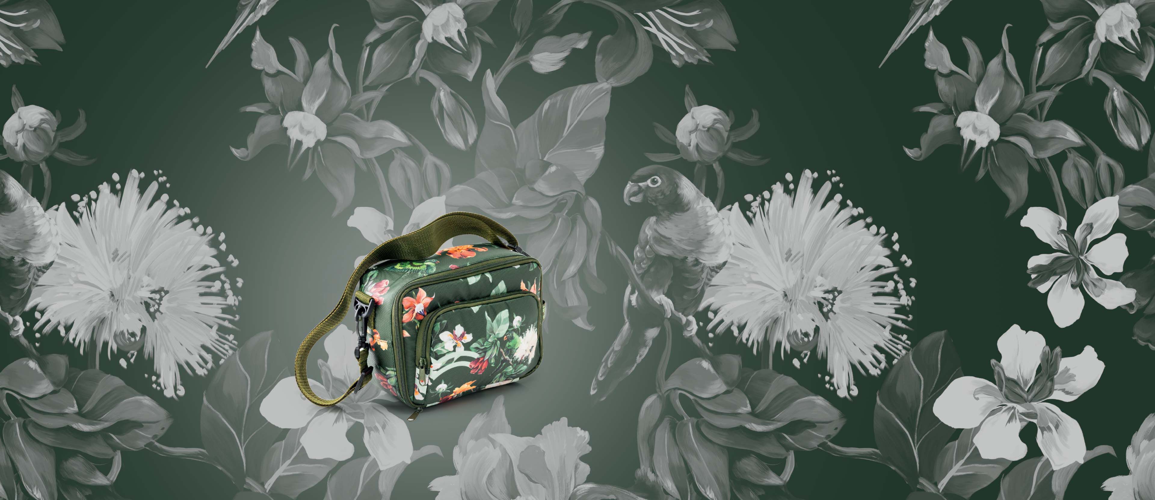 Lonchera Creer para Ver