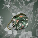 Lonchera Creer para Ver