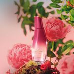 Regalo Madres Luna Divina (1 eau de toilette)