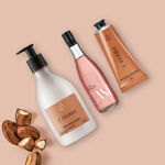 Kit Crema para Cuerpo, Manos y Frescor Natura Ekos Castanha