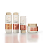 Kit Completo Lumina Nutrición