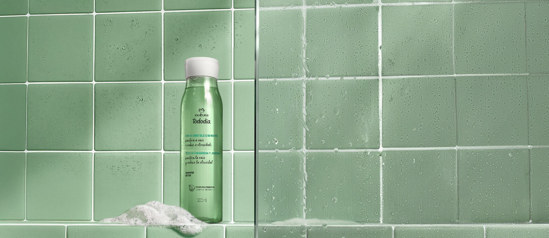 Shampoo Detox Tododia Té de Hierbabuena y Jengibre