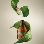 Kit Concentrado Corporal en Crema Ekos Castaña