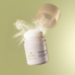 Shampoo en Seco Lumina
