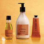 Kit Crema para el Cuerpo, Manos y Aceite Trifásico Ekos Castaña (3 productos)