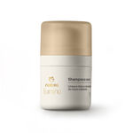 Shampoo en Seco Lumina