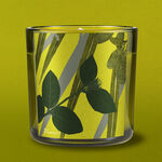 Vela Natura Bothanica Aura Gingi