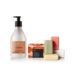 Kit Crema para el Cuerpo y Jabones Ekos Castaña