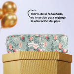 Cartuchera Transforma Creer para Ver