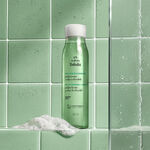 Shampoo Detox Tododia Té de Hierbabuena y Jengibre