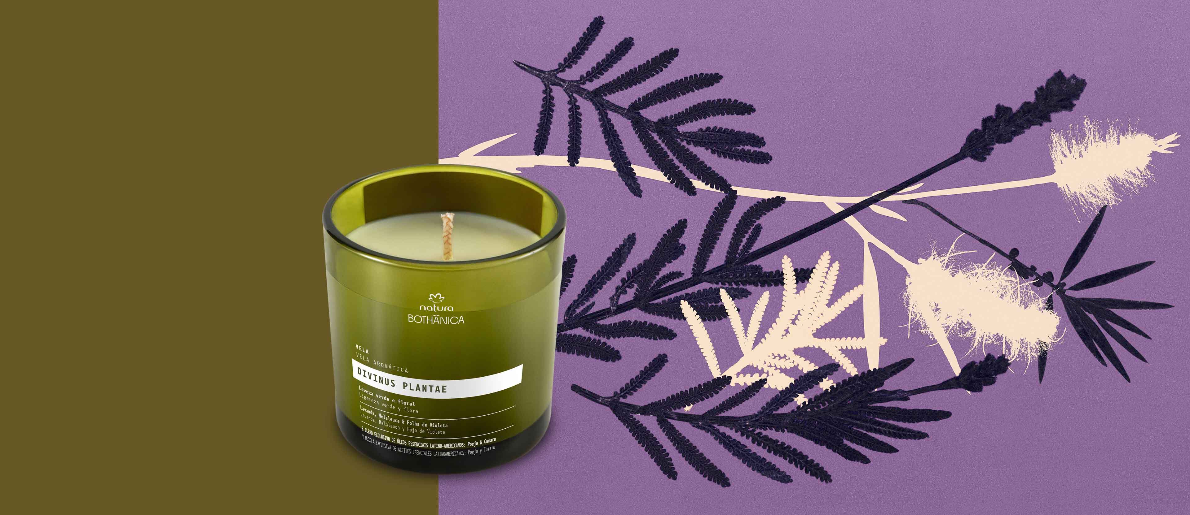 Vela Natura Bothanica Divinus Plantae