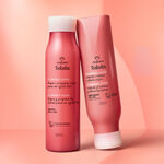 Kit Básico Tododia Liso+Liso (2 productos)