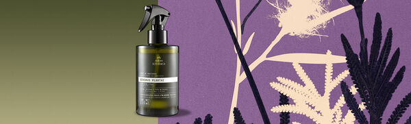 Spray de Ambientes Natura Bothanica Divinus Plantae