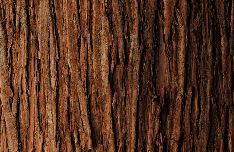 Pequenos pedaços e lascas de madeira de sândalo para perfume empilhados no lado direito sobre um fundo branco liso.