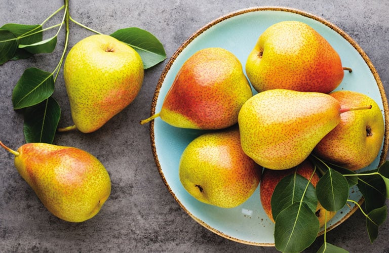Uma tigela com frutas do tipo peras alaranjadas e tons avermelhados, envolto por ramos de folhagens verdes.