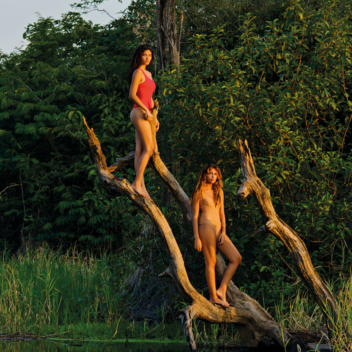 Potencia biocoméstica para tu piel y regeneración de la Amazonia