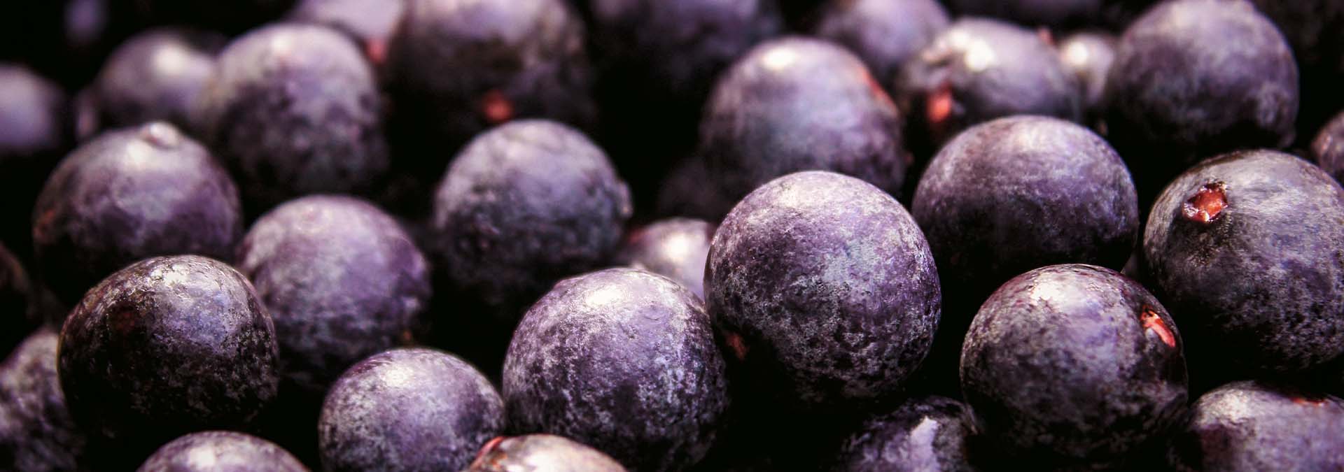 acai
