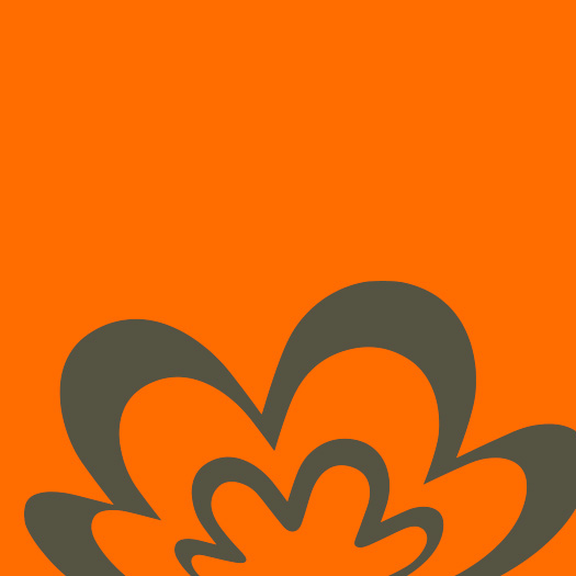 Em fundo laranja, temos parte da rosácea Natura em verde.
